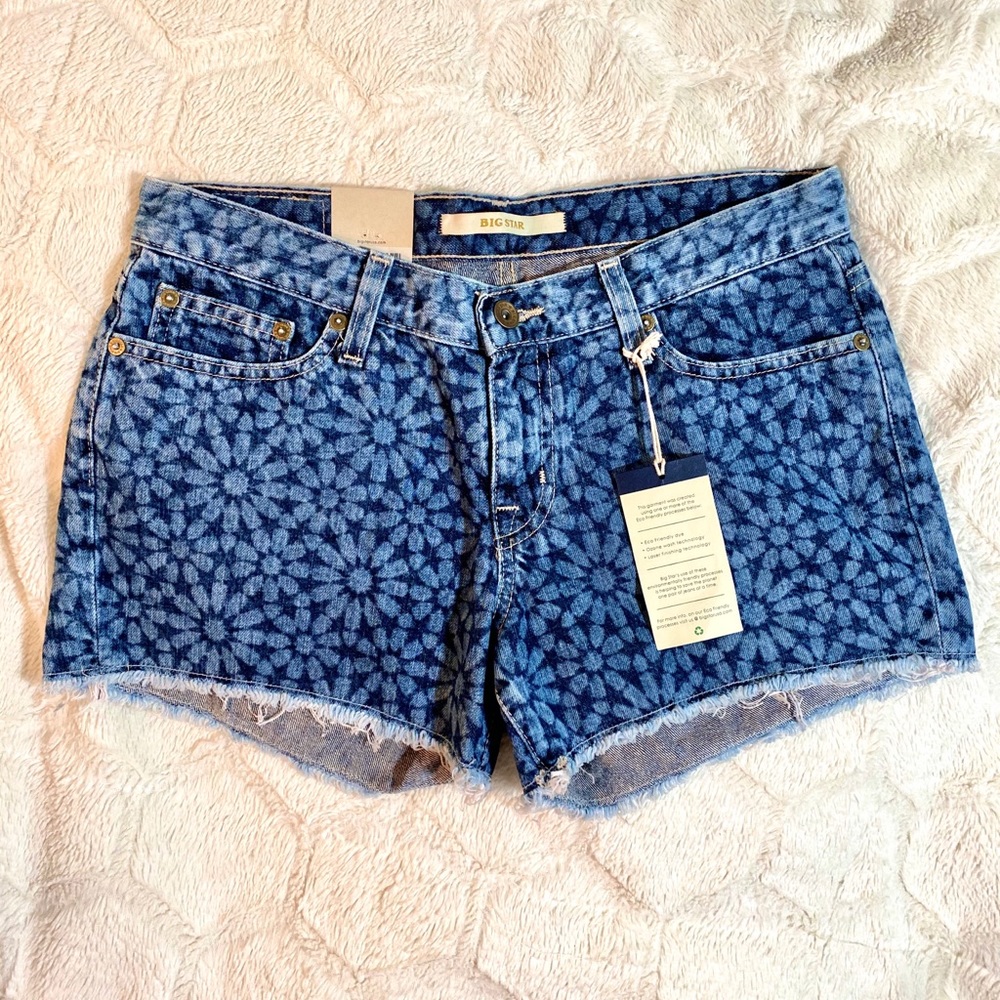 Big Star “Alex” Jean Shorts